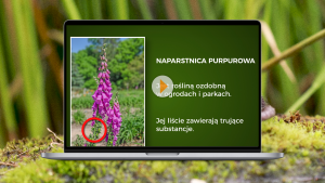 sl2_fa_przyr